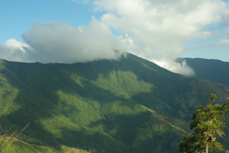 The Andros West Side National Park, Home of the National Bird of the ...