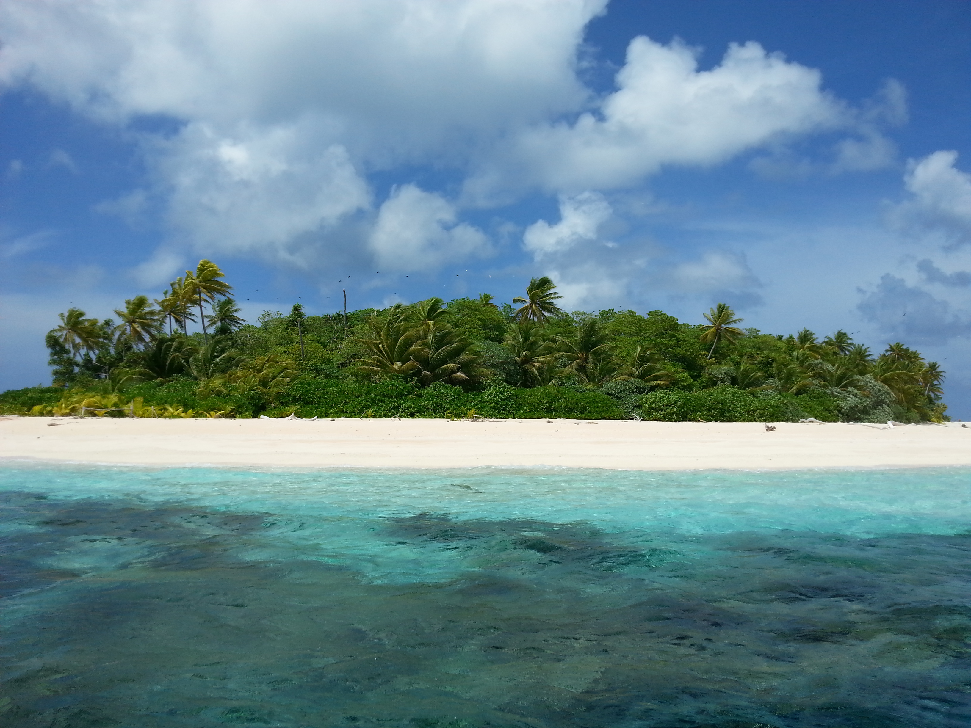 Tuvalu moving forward towards achieving global biodiversity target on ...